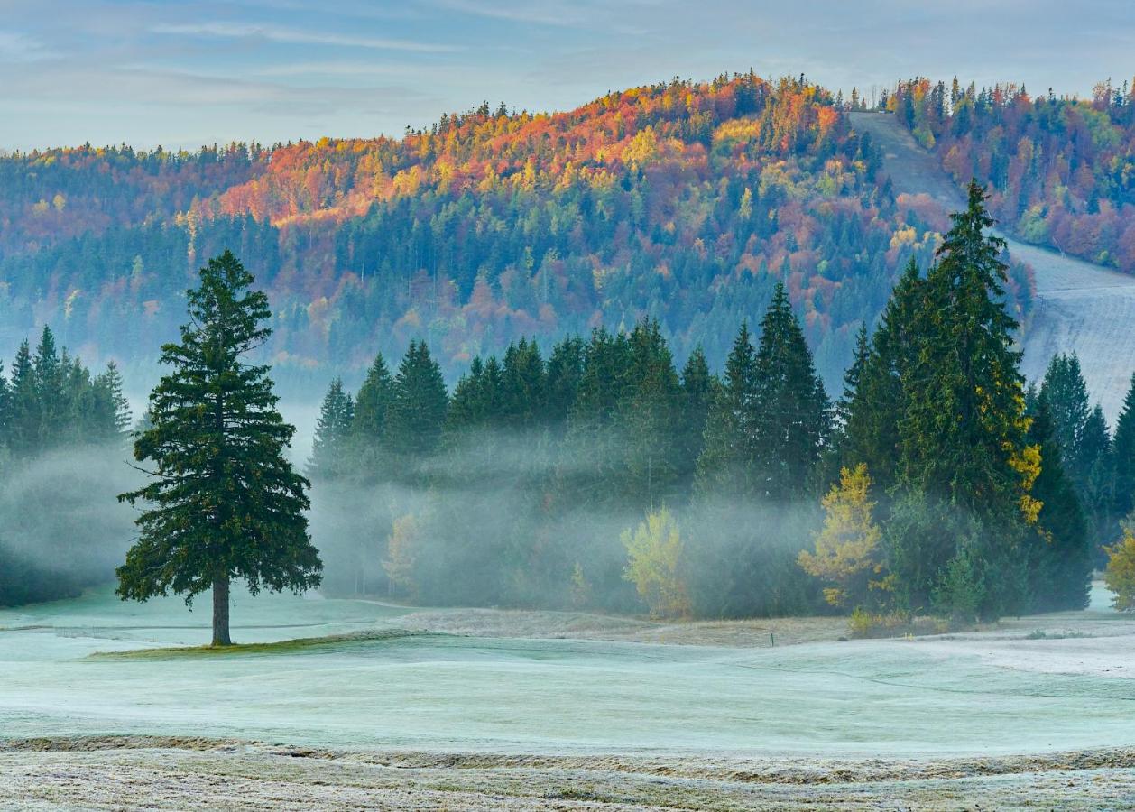 Dependence Hotela Stupka - Golf Tale Ngoại thất bức ảnh